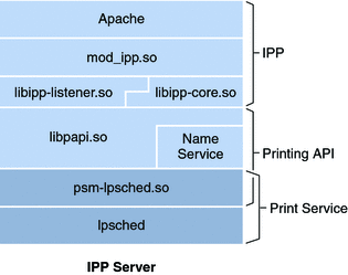 Figure of components that make up the IPP server configuration. Further explanation included in surrounding text.