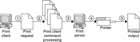 Illustration of the print client process in 5 steps. See the following description of these 5 steps.
