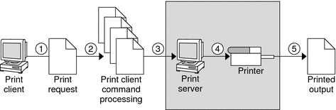 Illustration of a print server sending a print request in 5 steps. See the following description of these 5 steps.