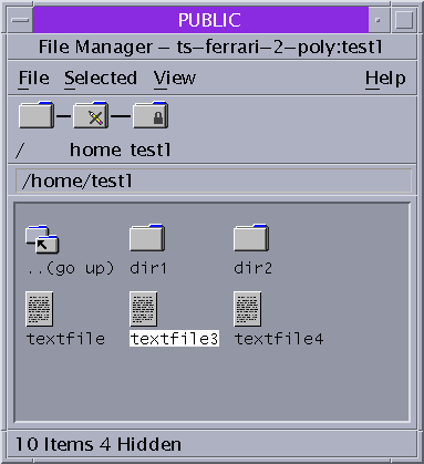 Screen shows a File Manager that is labeled PUBLIC with files in the File Manager.